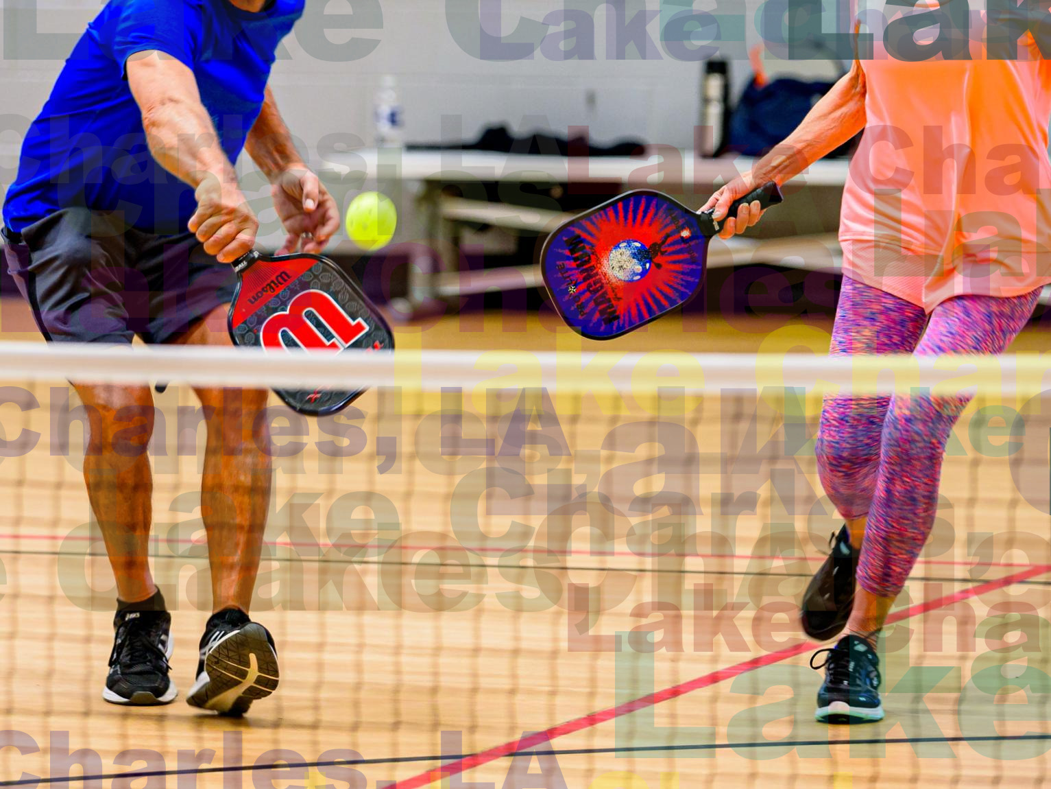 pickleballlakecharles.com logo